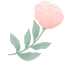 DM_20250704112146_006.png