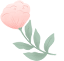 DM_20250704112146_029.png